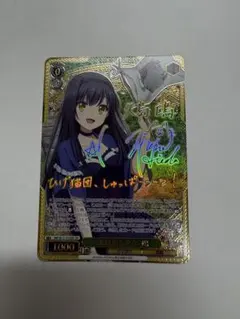 2026年最新】ヴァイス “海賊船と少女”鴎 SMP RRの人気アイテム - メルカリ