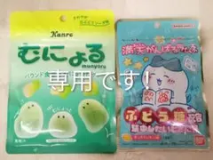 ☆ぱちわれ様専用ページ☆