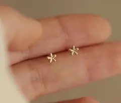 Item thumbnail for item fd47a12a-e890-4acb-9eec-e797bd6fe530