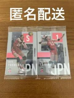 ツインウエハースバレーボール女子日本代表 和田由紀子 佐藤淑乃　②