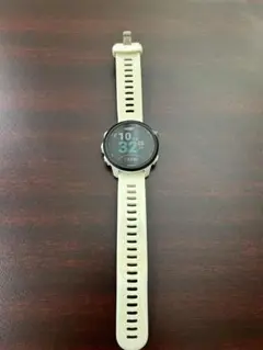 GARMIN245music