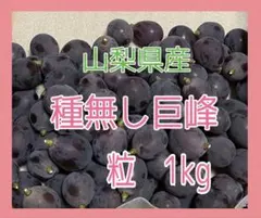 山梨産種なし巨峰 秀 大粒7房入/箱 5kgクール便 - メルカリ