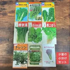 みこ様 リクエスト 4点 まとめ商品