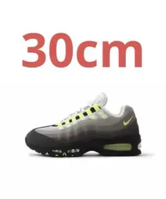Nike Air Max 95 Big Bubble 30cm ナイキ ネオン