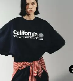 Item thumbnail for item d86d4560-4580-452f-a372-4b567203503c