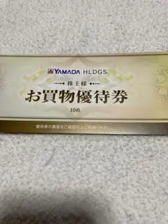 YAMADA HLDGS. お買物優待券 500円券 10枚、