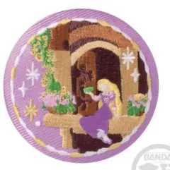 「塔の上のラプンツェル」DisneyCharacters刺繍缶バッジビスケット2