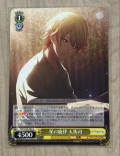 ヴァイス プロセカ 天馬司