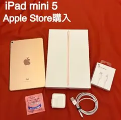 【匿名配送】iPad mini 5 Wi-Fi 64GB + USB-Cケーブル