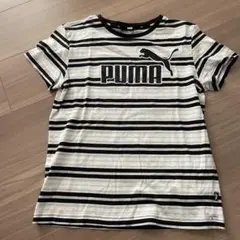 PUMA ストライプ Tシャツ 150