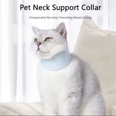 Item thumbnail for item d7a8a06a-24e3-4efe-ad0b-0c284a92338a