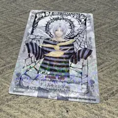 D.Gray-man アレン・ウォーカー ティム・キャンピーカード レア