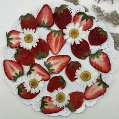 夢様 リクエスト 3点 まとめ商品