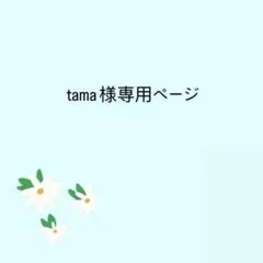 tama様 リクエスト 2点 まとめ商品