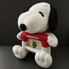 SNOOPY スヌーピー フォトフレームぬいぐるみ H30cm