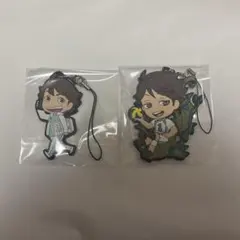 ハイキュー 及川徹 ラバスト