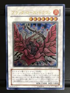 2026年最新】レリーフ ブラックローズドラゴンの人気アイテム - メルカリ