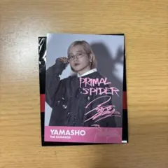 2025年最新】山本彰吾 サインの人気アイテム - メルカリ