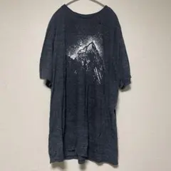 アプトナイン プリント クルーネック 半袖 Tシャツ 2XL 灰 混紡 グレー