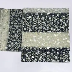 Item thumbnail for item e2c9fcef-e3aa-4e53-9221-e663a8af462e