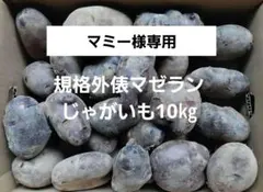 マミー様専用！規格外俵マゼランじゃがいも10㎏
