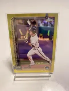 Item thumbnail for item 406d793f-e870-47f6-9e14-a57e7361ab3b