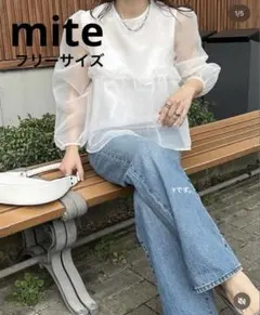 mite chiffon tulle puff tee シアーブラウスのサムネイル