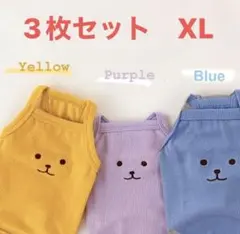 Item thumbnail for item 804b952a-70dd-480e-8220-b5832d661eb8