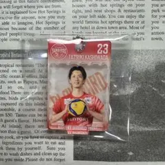 サントリーサンバーズ大阪 髙橋藍選手 ブリスター風アクリルキーホルダー サントリー - サントリーサンバーズ大阪 アクリルクリアフォトカード