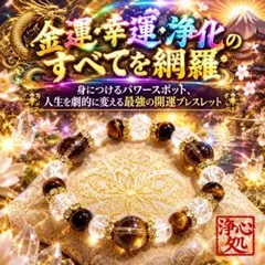 ◇曰く付き◇金運・幸運・浄化 すべてを網羅する開運ブレスレット◇一点物◇