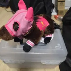 ハルウララ ぬいぐるみ メンコ付き