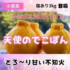 ▲和歌山産 デコポン 不知火 減農薬栽培 ミックス 3kg 有田みかん1803