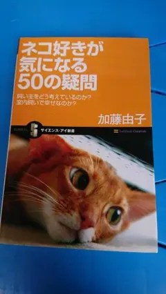 ネコ好きが気になる50の疑問 飼い主をどう考えているのか?　　■動物■