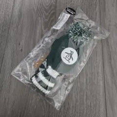 Item thumbnail for item 6213bd13-2ad6-44be-a437-6768a13132d1