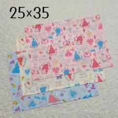 ランチョンマット 25×35 3枚セット　プリンセス柄　女の子用　女子　給食用