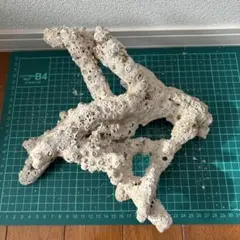 ライブロック　デスロック一点物⑮のサムネイル