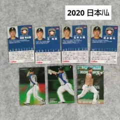 2020 プロ野球チップスカード/ 日本ハム