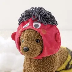 3coins 節分　鬼　ペット　ペット用鬼のかぶりもの