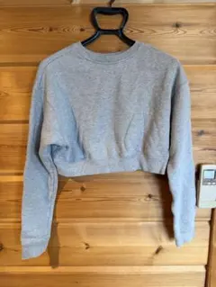 2026年最新】BIOTOP トレーナー・スウェットの人気アイテム - メルカリ