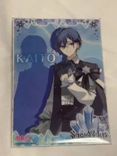 KAITO Snow Miku 2025 雪ミク