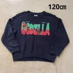 Item thumbnail for item a7f5a4d0-cb75-49e1-bce2-43e5f3e4578a