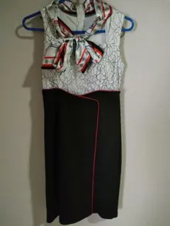 デイジードレスLサイズ　５点セット