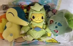 ポケモン ぬいぐるみ ヒノアラシ ポケパークカントー 202607021408
