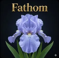 希少種​　庭に揺らぐ、淡き水深の愛の記憶 ・ジャーマンアイリス「Fathom」②