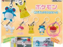 ポケモンセンター限定 ポケモン めじるしアクセサリー2