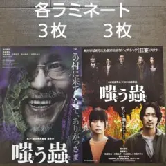映画 嗤う蟲セット チラシ フライヤー - メルカリ
