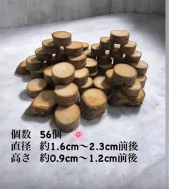 Item thumbnail for item fb4938c5-0973-4770-9ef0-7e16b781395e