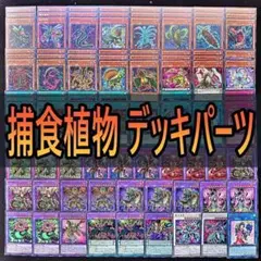 288　捕食植物　デッキパーツ 遊戯王オフリススコーピオ　捕食活動 捕食計画　☆