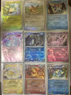 中国限定 ポケモン宝石パック イーブイ進化シリーズ14枚 マスター