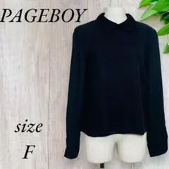 ページボーイ ブラウス カットソー シースルー シアー 刺繍 ブラック 549